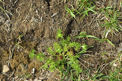 BUITEN BEELD Foto: 428763