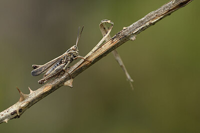 BUITEN BEELD Foto: 428902