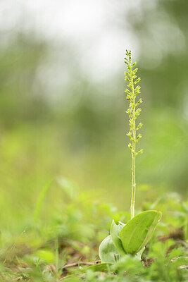 BUITEN BEELD Foto: 428979