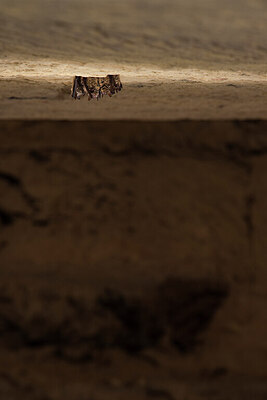 BUITEN BEELD Foto: 428993