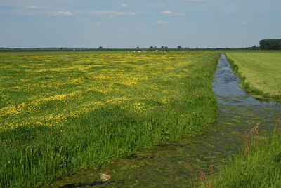 BUITEN BEELD Foto: 42010