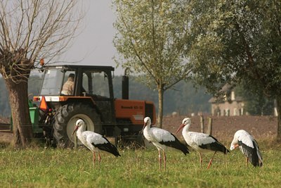 BUITEN BEELD Foto: 42039