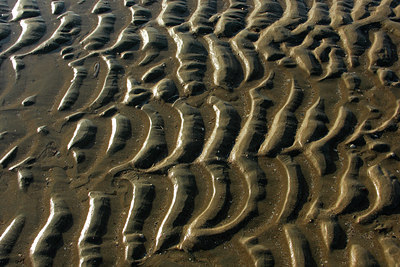 BUITEN BEELD Foto: 42095