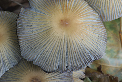 BUITEN BEELD Foto: 42187