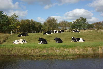 BUITEN BEELD Foto: 42202