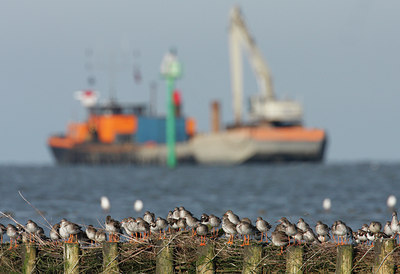 BUITEN BEELD Foto: 42207