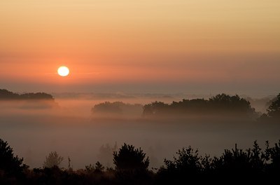 BUITEN BEELD Foto: 42218