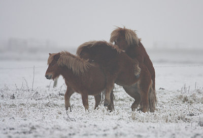 BUITEN BEELD Foto: 42233