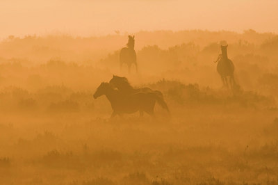 BUITEN BEELD Foto: 42248