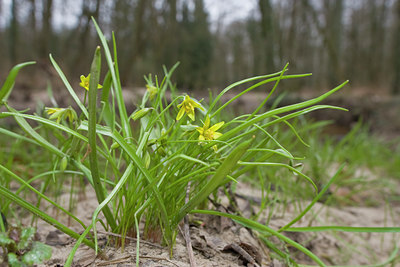 BUITEN BEELD Foto: 42290
