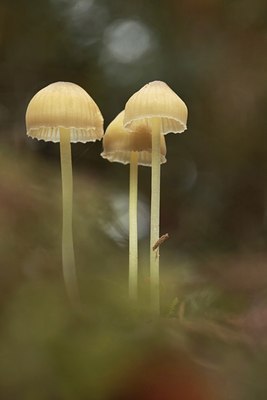 BUITEN BEELD Foto: 42315