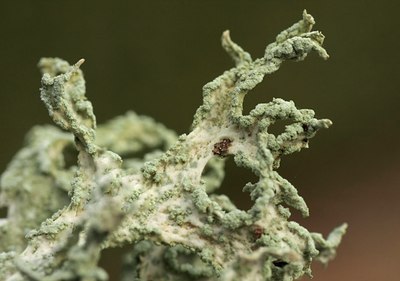 BUITEN BEELD Foto: 42332