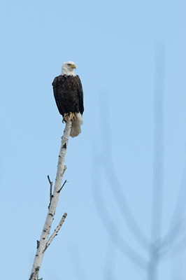 BUITEN BEELD Foto: 42354