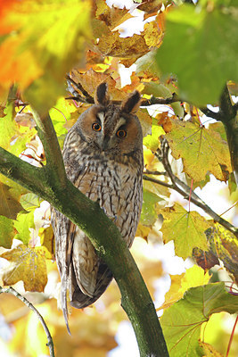 BUITEN BEELD Foto: 42362