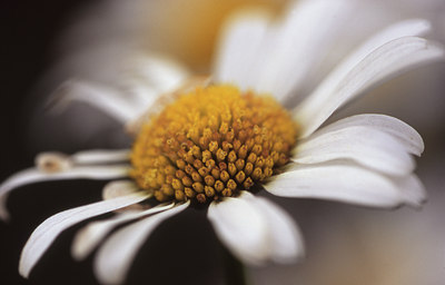 BUITEN BEELD Foto: 42369