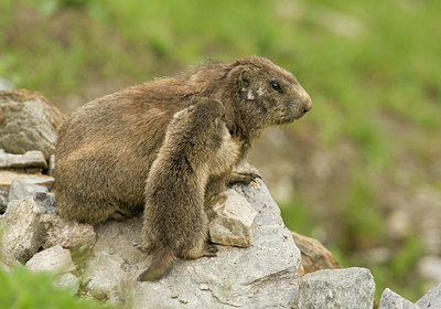 BUITEN BEELD Foto: 42370