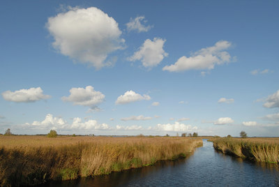 BUITEN BEELD Foto: 42405