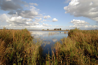 BUITEN BEELD Foto: 42408