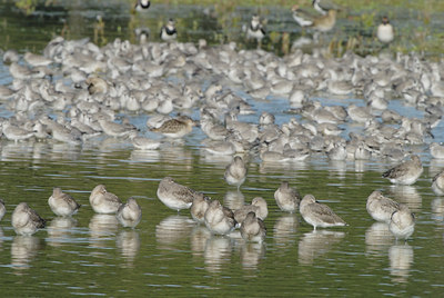 BUITEN BEELD Foto: 42411