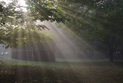 BUITEN BEELD Foto: 42449