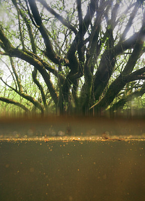 BUITEN BEELD Foto: 42476