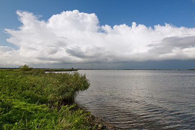 BUITEN BEELD Foto: 42619