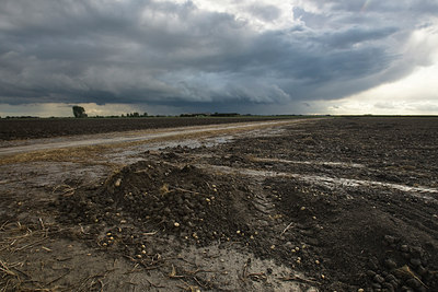 BUITEN BEELD Foto: 42623