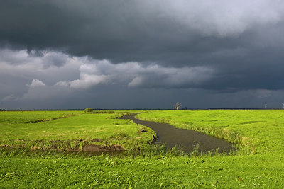 BUITEN BEELD Foto: 42626