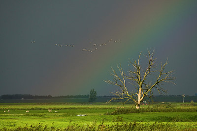BUITEN BEELD Foto: 42628