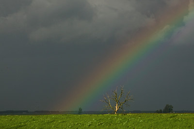 BUITEN BEELD Foto: 42629