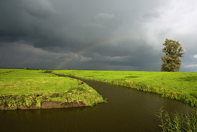 BUITEN BEELD Foto: 42630