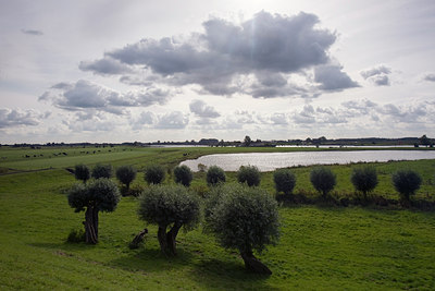 BUITEN BEELD Foto: 42635