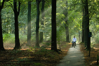 BUITEN BEELD Foto: 42646