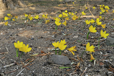 BUITEN BEELD Foto: 42655
