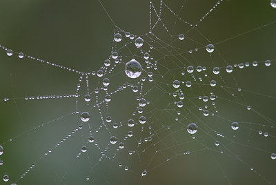 BUITEN BEELD Foto: 42721