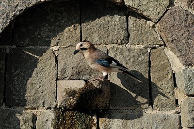 BUITEN BEELD Foto: 42743