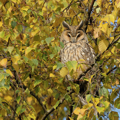 BUITEN BEELD Foto: 42750