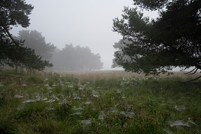 BUITEN BEELD Foto: 42784