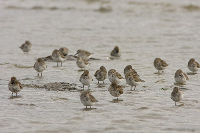 BUITEN BEELD Foto: 42793