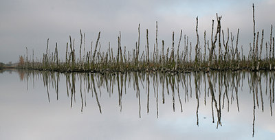 BUITEN BEELD Foto: 42818