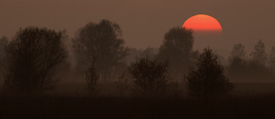 BUITEN BEELD Foto: 42820