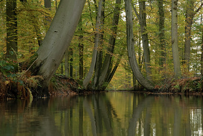 BUITEN BEELD Foto: 42823
