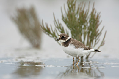 BUITEN BEELD Foto: 42875