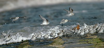 BUITEN BEELD Foto: 42889
