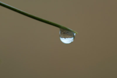 BUITEN BEELD Foto: 42895