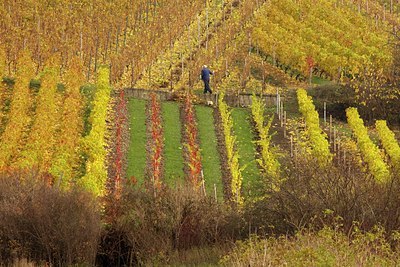 BUITEN BEELD Foto: 42972