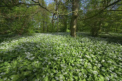 BUITEN BEELD Foto: 429077