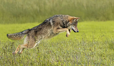 BUITEN BEELD Foto: 429241