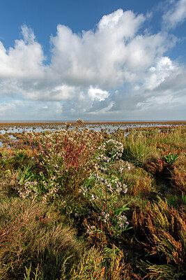 BUITEN BEELD Foto: 429249