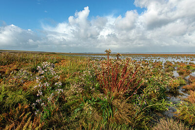 BUITEN BEELD Foto: 429250